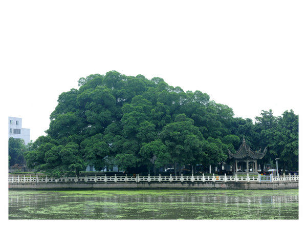 �䰸�Ř�,�Ɍٵر��o(h��)